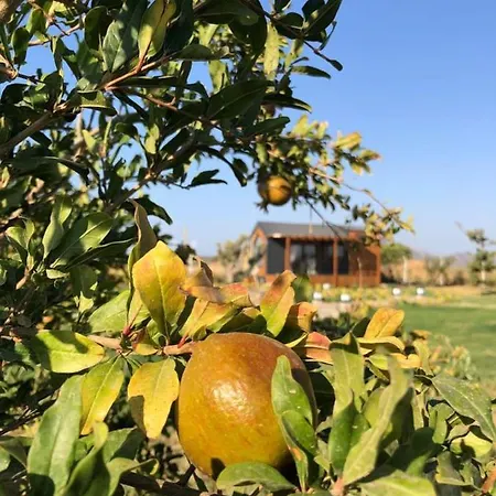 Radika Datca * Kızlanköy